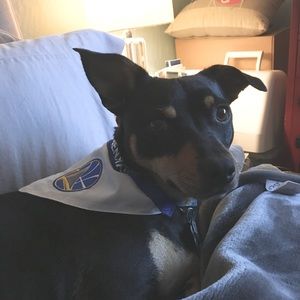 Meet your Posher, Ryan